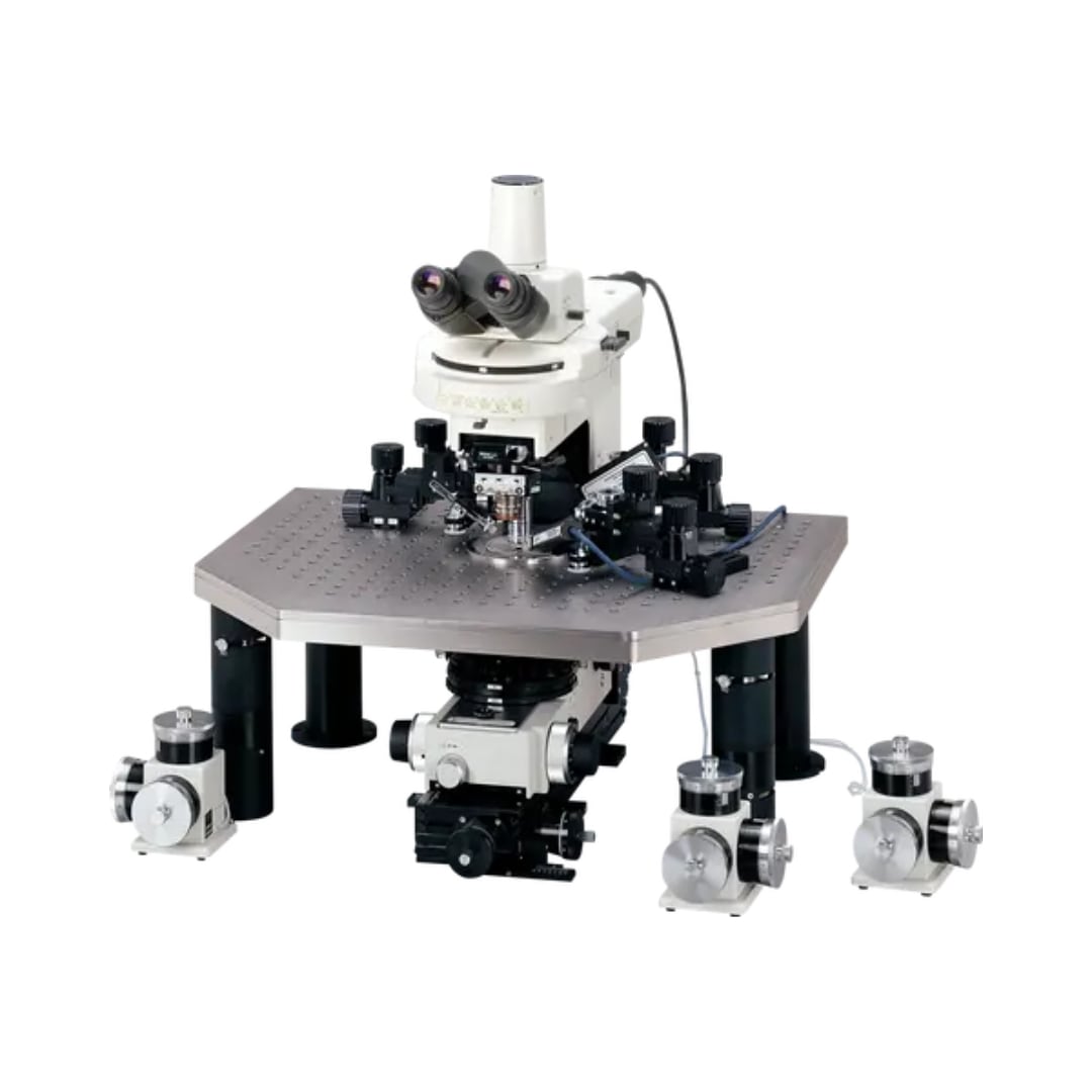 Nikon aufrecht Mikroskop Nikon ECLIPSE FN1 für Einsatzbereiche Forschung